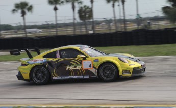 12 Heures de Sebring 2024 - Courses de soutien - Porsche Carrera Cup