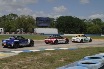 12 Heures de Sebring 2024 - Courses de soutien - MX-5 Cup