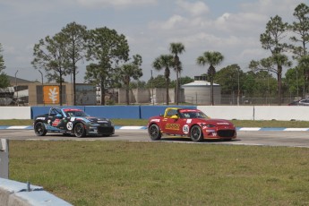 12 Heures de Sebring 2024 - Courses de soutien - MX-5 Cup