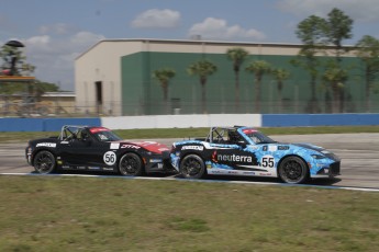 12 Heures de Sebring 2024 - Courses de soutien - MX-5 Cup