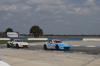 12 Heures de Sebring 2024 - Courses de soutien - MX-5 Cup