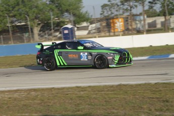 Sebring 2024 - IMSA Michelin Pilot Challenge