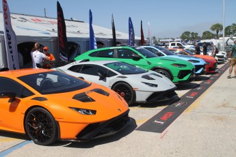 Sebring 2024 - IMSA Michelin Pilot Challenge - Course (vendredi)