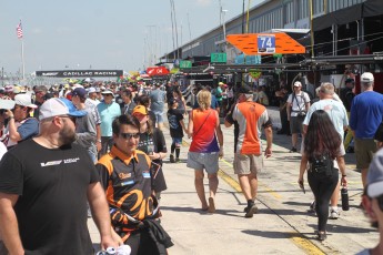 Sebring 2024 - IMSA Michelin Pilot Challenge - Course (vendredi)