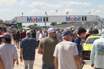Sebring 2024 - IMSA Michelin Pilot Challenge - Course (vendredi)
