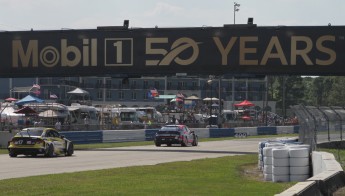 Sebring 2024 - IMSA Michelin Pilot Challenge