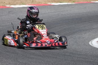 Karting à Tremblant - Cup Karts
