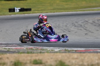 Karting à Tremblant - Cup Karts