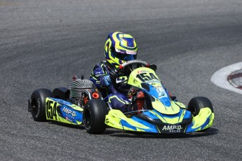 Karting à Tremblant - Championnat Ron Fellows