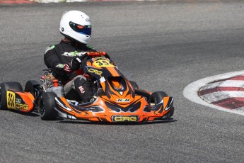 Karting à Tremblant - Championnat Ron Fellows