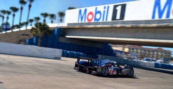 Retour dans le passé - 12 Heures de Sebring 2011