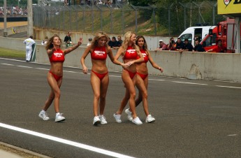 Retour dans le passé - 24 Heures du Mans 2003