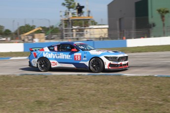 Sebring 2025 - Course Ford Mustang Challenge