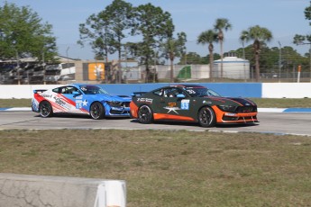 Sebring 2025 - Course Ford Mustang Challenge