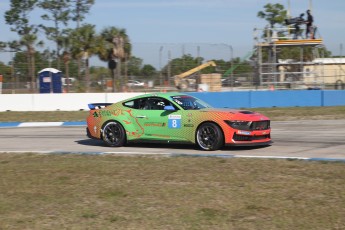 Sebring 2025 - Course Ford Mustang Challenge