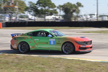 Sebring 2025 - Course Ford Mustang Challenge