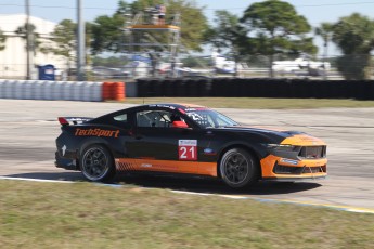 Sebring 2025 - Course Ford Mustang Challenge
