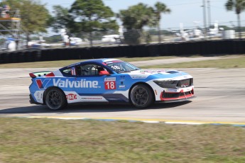 Sebring 2025 - Course Ford Mustang Challenge