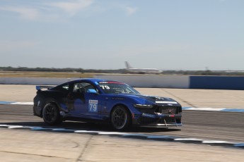 Sebring 2025 - Course Ford Mustang Challenge