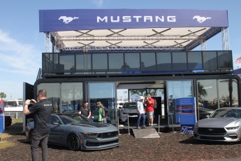 Sebring 2025 - Course Ford Mustang Challenge
