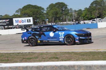 Sebring 2025 - IMSA Michelin Pilot Challenge