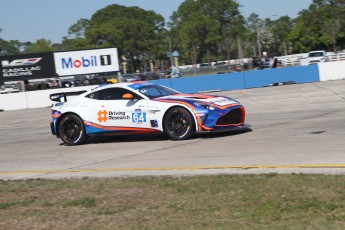 Sebring 2025 - IMSA Michelin Pilot Challenge