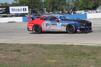 Sebring 2025 - IMSA Michelin Pilot Challenge