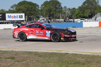 Sebring 2025 - IMSA Michelin Pilot Challenge