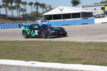 Sebring 2025 - IMSA Michelin Pilot Challenge