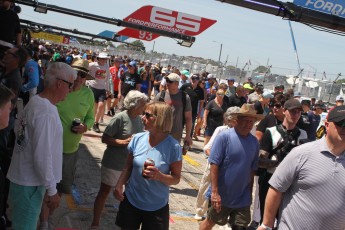 Sebring 2025 - IMSA Michelin Pilot Challenge