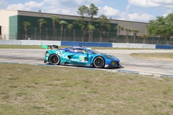 12 Heures de Sebring 2025 - Action en piste