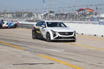 12 Heures de Sebring 2025 - Présentation pilotes et voitures