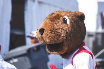 GP du Canada 2025 - Formule 1 (dimanche)