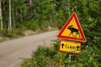 WRC - Rallye de Finlande 2025 - Étape 1