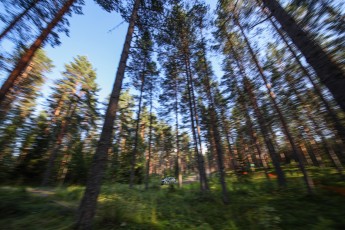 WRC - Rallye de Finlande 2025 - Étape 3