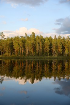 WRC - Rallye de Finlande 2025 - Étape 3