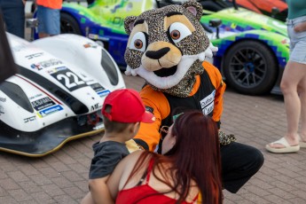 Expositions de Voitures du GP3R