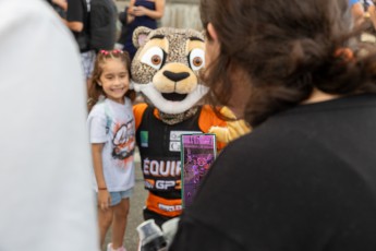 Expositions de Voitures du GP3R