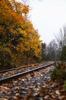 Rallye de Charlevoix 2025