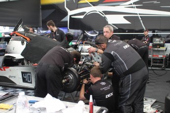 12 Heures de Sebring 2026 - Course et ambiance - Ambiance et podiums