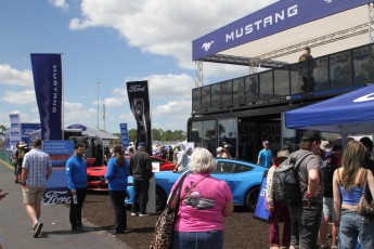 12 Heures de Sebring 2026 - Course et ambiance - Ambiance et podiums