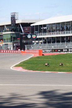 GP du Canada 2026 - F2 (vendredi)
