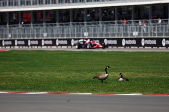 GP du Canada 2026 - F2 (vendredi)