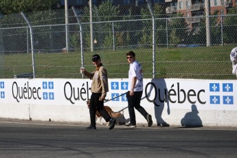 Rallycross Trois-Rivières - Autres séries et ambiance