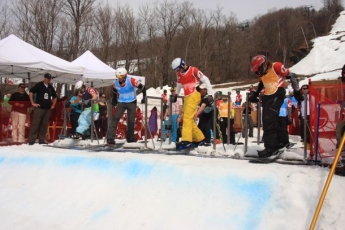 Spin Telus - Snowboardcross