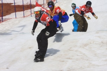 Spin Telus - Snowboardcross