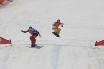 Spin Telus - Snowboardcross