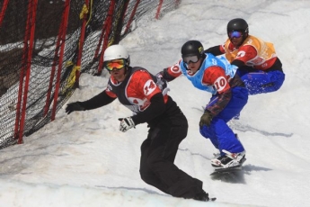 Spin Telus - Snowboardcross