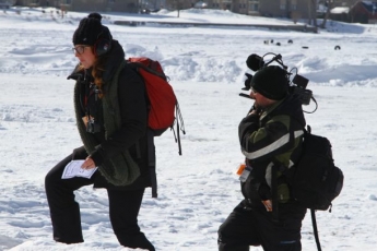 Courses sur glace a Beauharnois (1 mars )