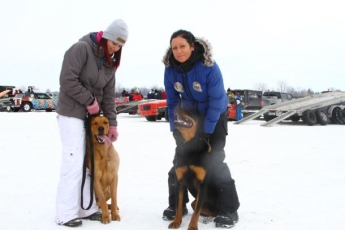 Courses sur glace a Beauharnois (1 mars )